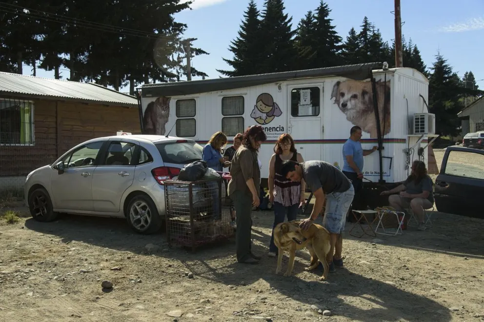 El quirófano móvil atenderá en Villa Los Coihues