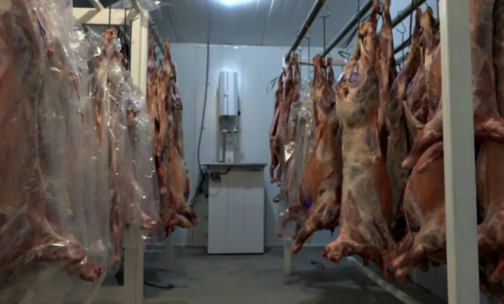 Habrá una gran venta de chivos y corderos de la Línea Sur en el Mercado Comunitario