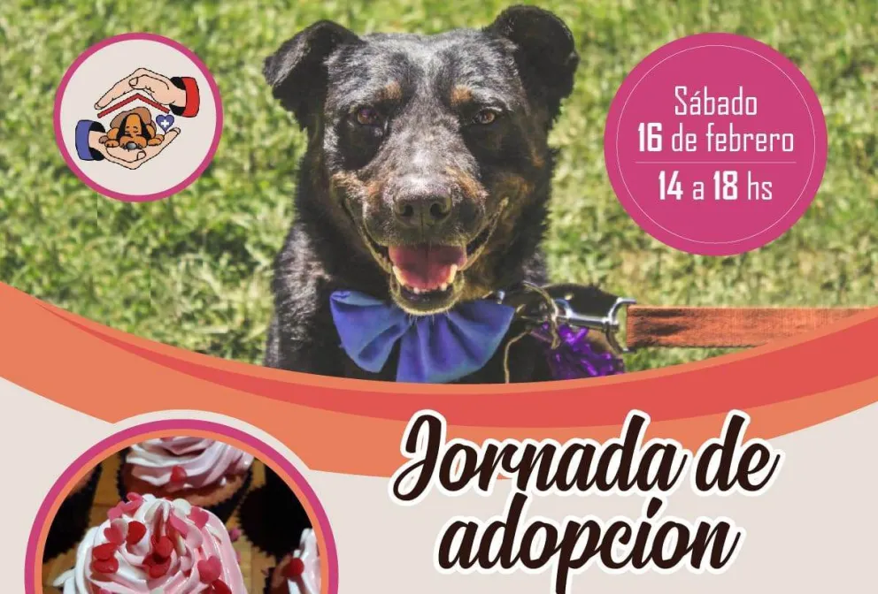 Una tarde para enamorarse de los perros de la perrera