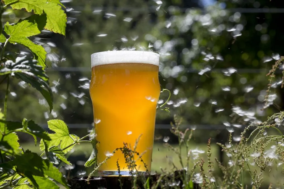 Comienza Pinta Bariloche, la fiesta de la cerveza artesanal de la ciudad