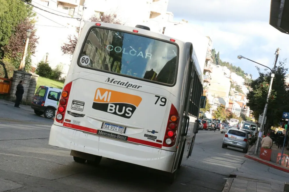 Violencia de género: subieron ebrios a un colectivo y agredieron a la conductora
