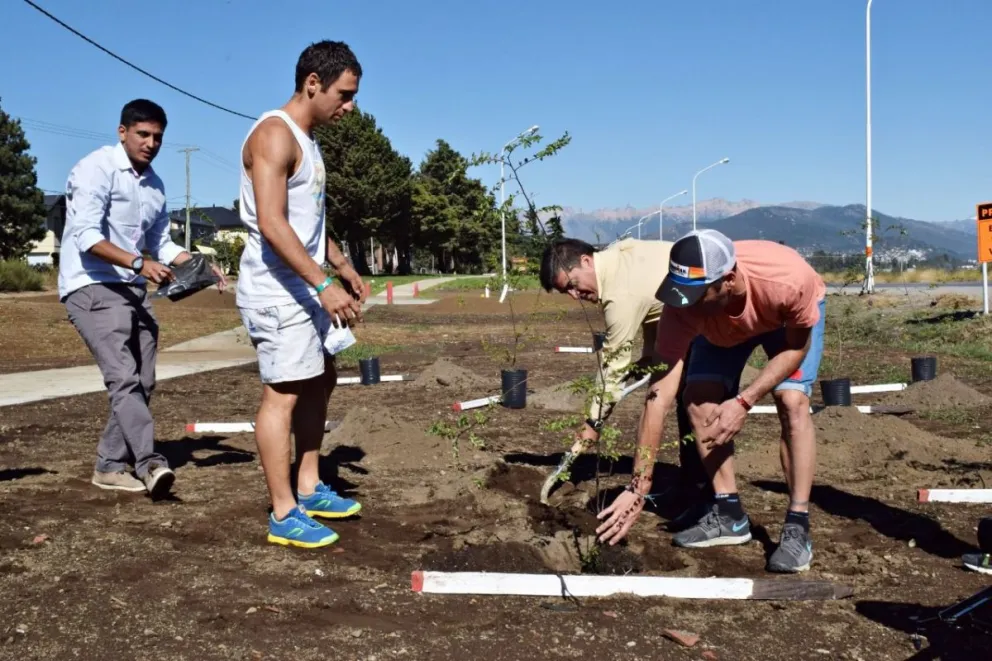 Tras el Ironman, plantaron árboles en el este