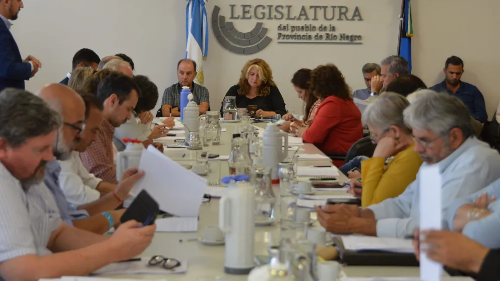 Legislatura: Avanza el proyecto del pase a planta de estatales