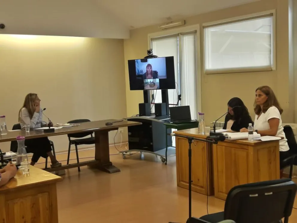 El chofer de una excursión fue condenado por la lesión de una joven