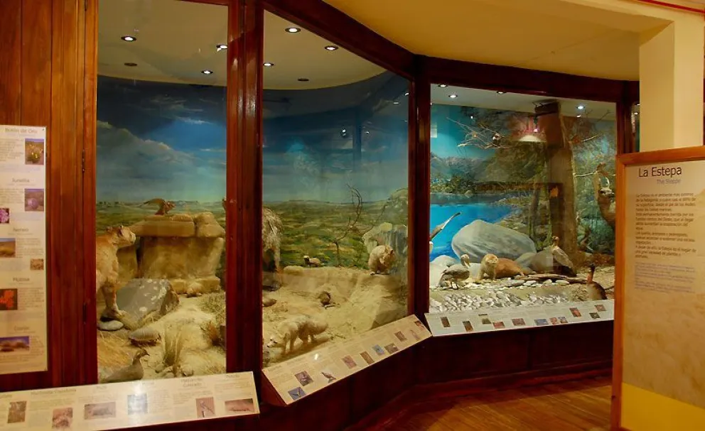 El Museo de la Patagonia cumple 79 años