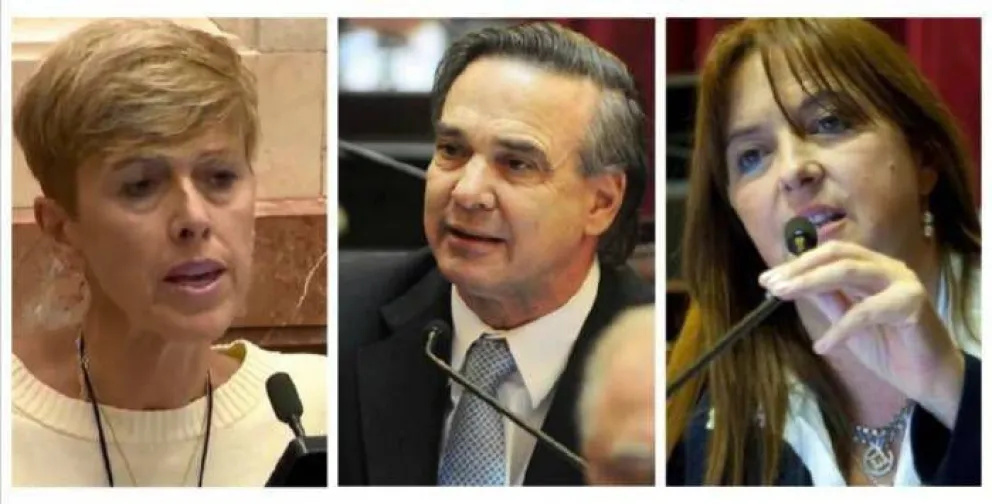 Canje de pasajes: ¿Qué hicieron los senadores rionegrinos?