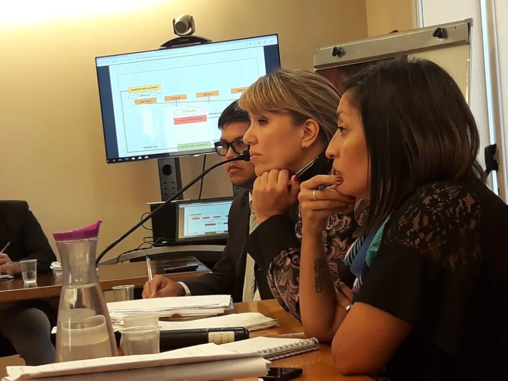 Homicidio de Llancanao: La hermana de la víctima dijo que Millalonco “es el dueño del barrio”
