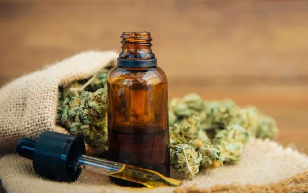Ordenan a obra social proveer de cannabis a un niño