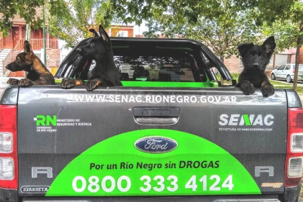 La lucha contra el narcotráfico suma tres integrantes