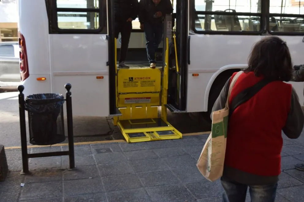 Llegaron los colectivos adaptados