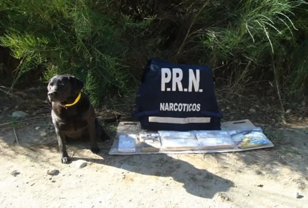 Operativo “Piñata verde”: secuestraron otros 5 kilos de marihuana y ya son 23