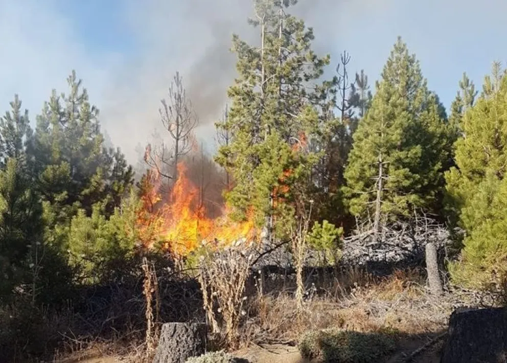 Cuatro focos de incendio en el cerro Carbón