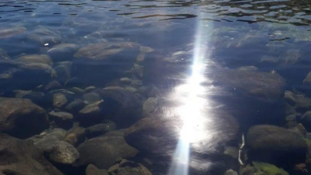 Parques Nacionales infraccionó a la empresa que provocó el derrame en el Limay
