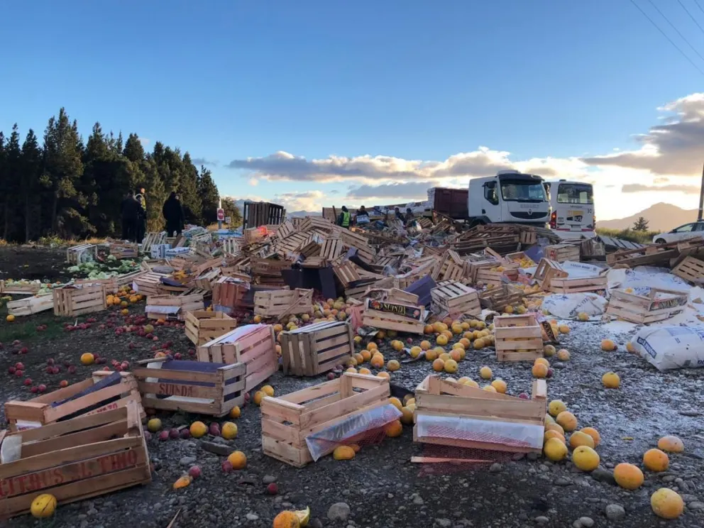 Por una falla mecánica, un camión perdió la carga en plena ruta