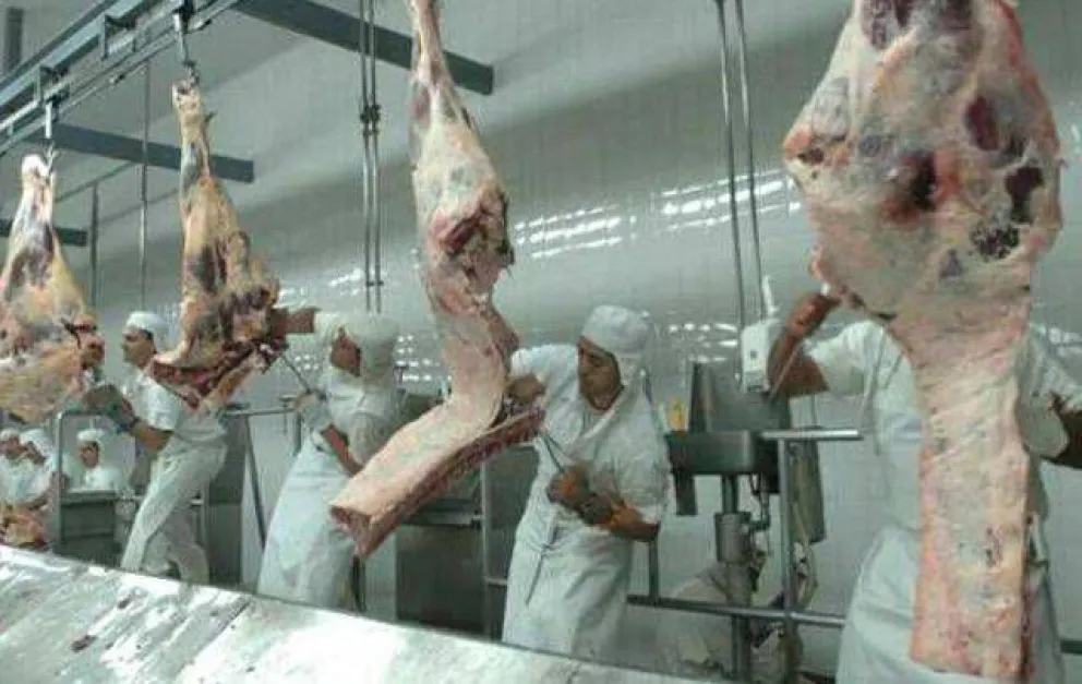 La carne barata anunciada por el gobierno no llegaría a la Patagonia