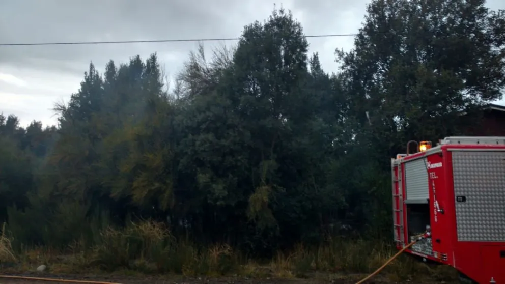 El personal de Bomberos Ruca Cura llegó rápidamente al sector afectado. 