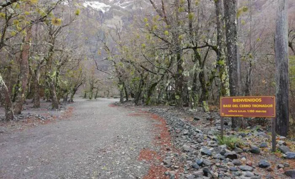 Abren parcialmente el camino a Cerro Tronador