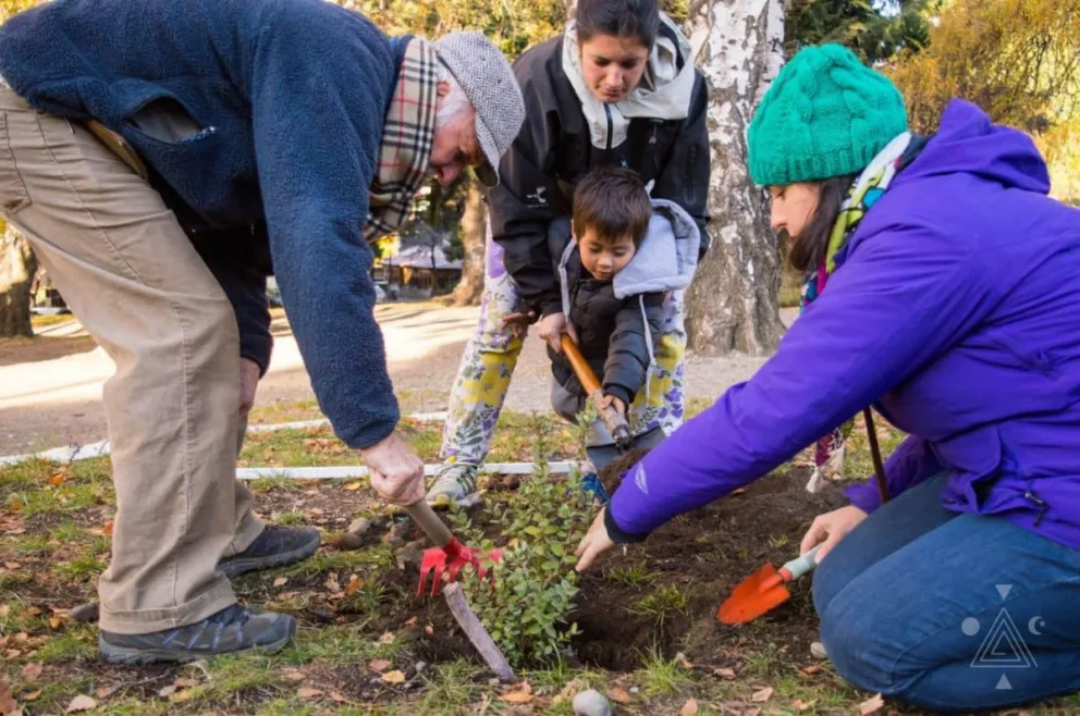 Atractivos talleres de horticultura, replantación y reproducción de plantas