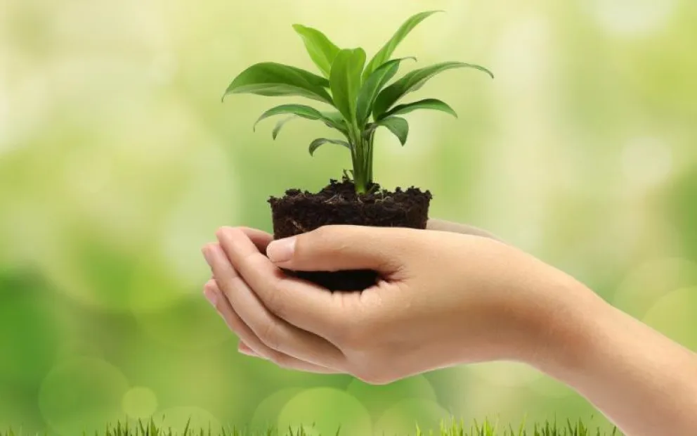 Día Internacional del Ambiente: preguntas fundamentales para respuestas vitales