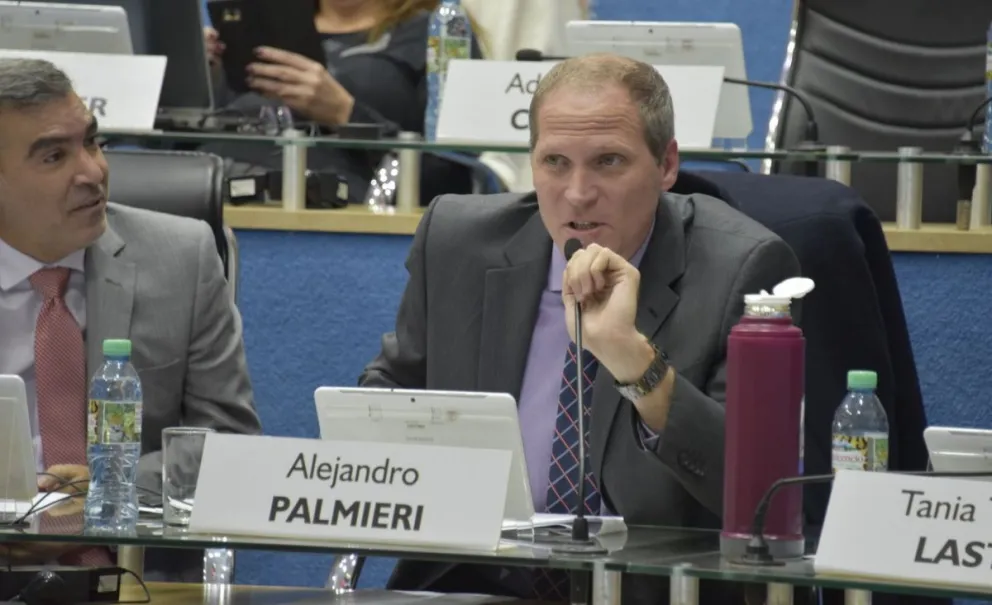 Alejandro Palmieri, presidente del bloque de JSRN en la Legislatura.