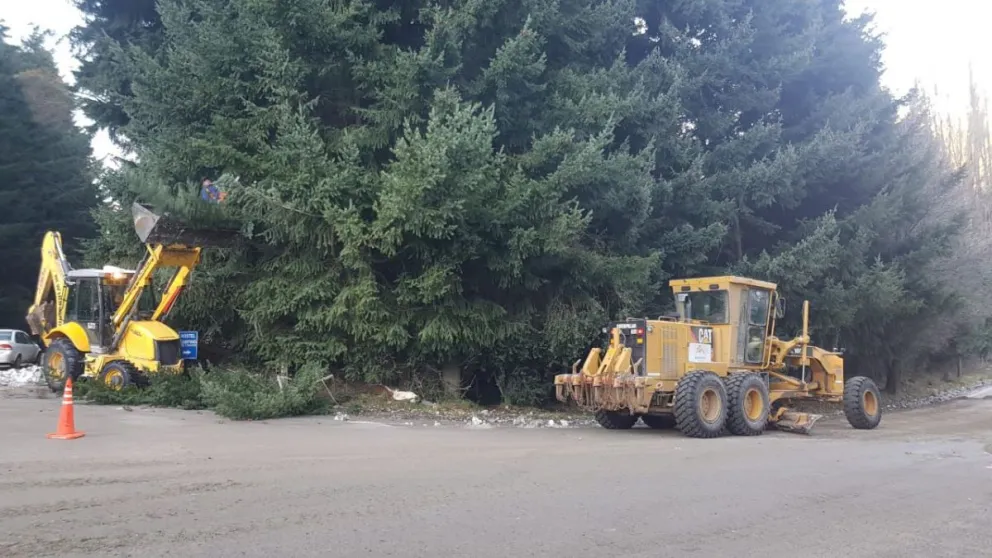 Avanzan con trabajos de calle