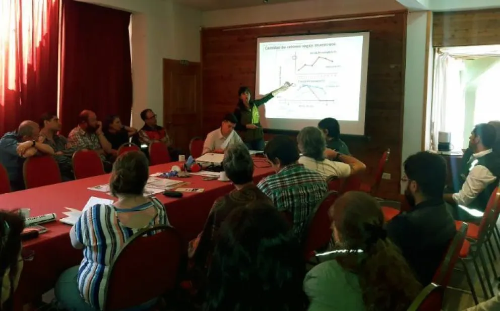 Intensifican tareas de monitoreo y prevención por el aumento de población de roedores