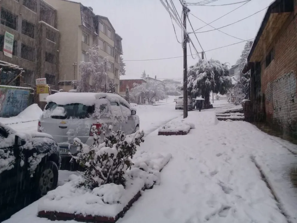 La nieve cubrió Bariloche: Mirá cómo va a seguir el tiempo