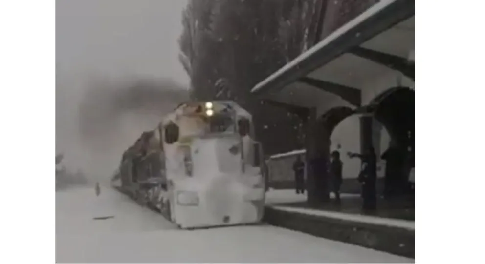Video: Así llegaba el Tren Patagónico a Bariloche en medio de la nevada