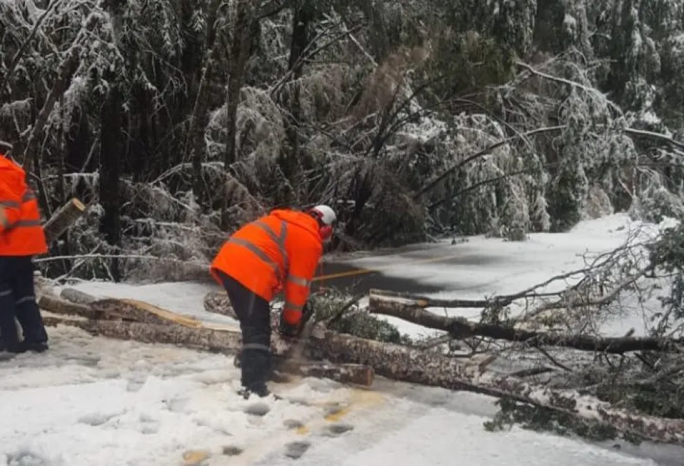 Por acumulación de nieve, cerraron los pasos fronterizos de Samoré y Pino Hachado 