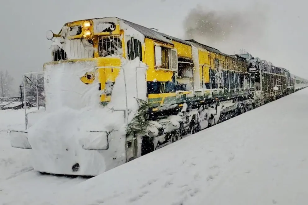 El Tren Patagónico en la nieve, la postal que deslumbró a todo el país