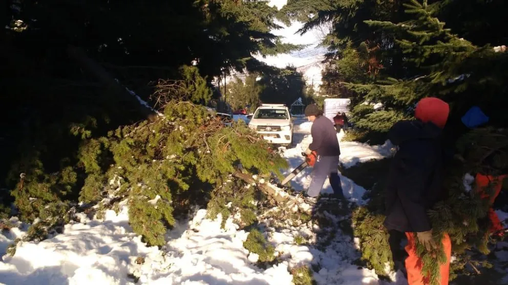 Despejan accesos a barrios y calles internas en Pampa de Huenuleo