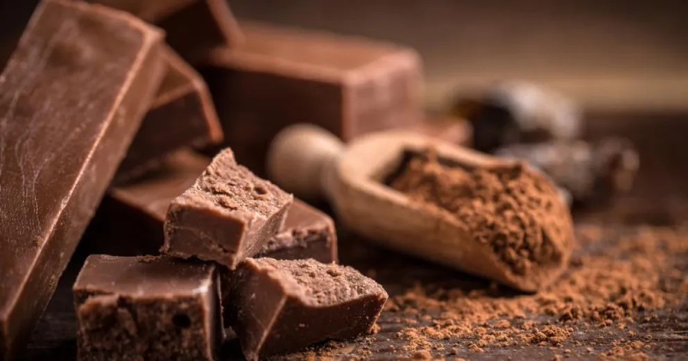 Incluyeron al chocolate artesanal en el programa Ahora 12