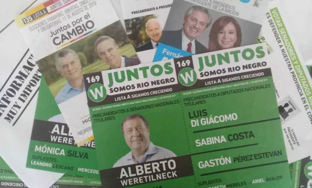 Corte de boleta: La estrategia de Juntos para que Weretilneck llegue al Senado