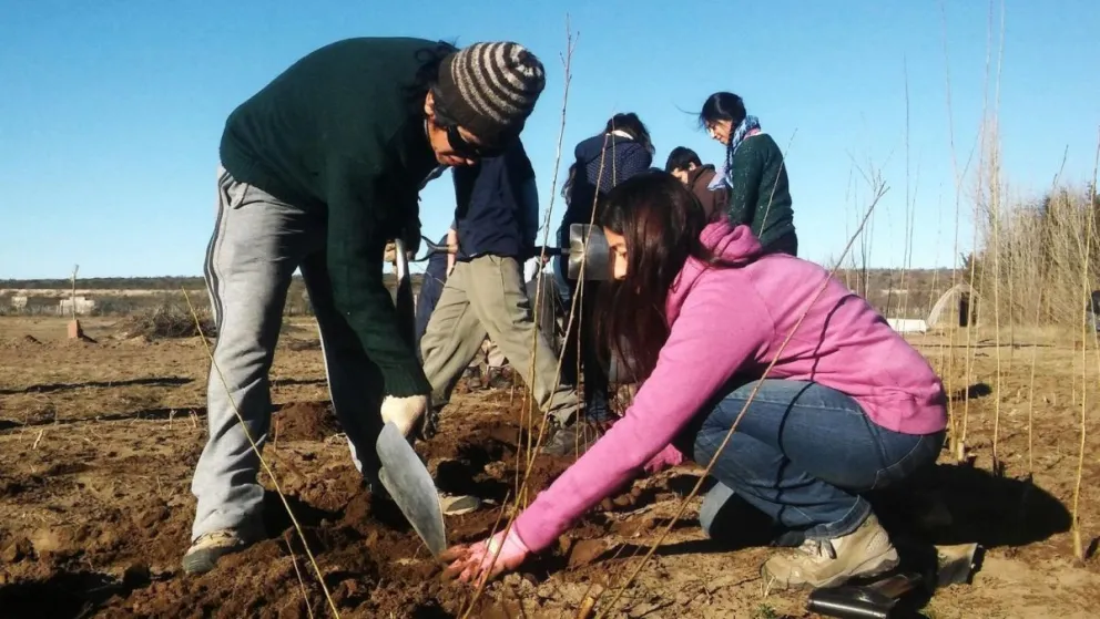 La UNRN pondrá en marcha 36 Proyectos de Extensión