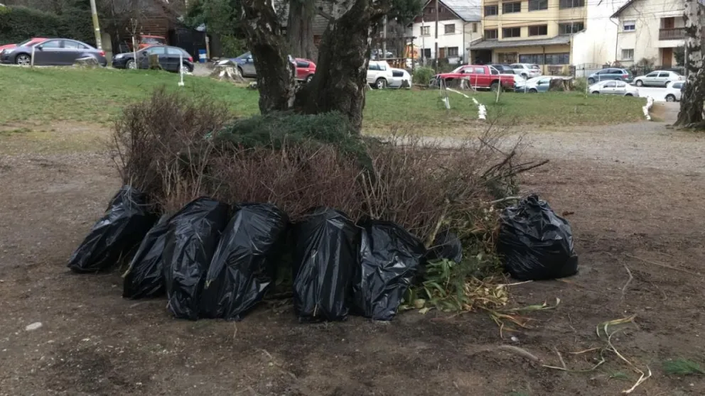 Notifoto: vecinos usan la plaza Belgrano para arrojar residuos forestales
