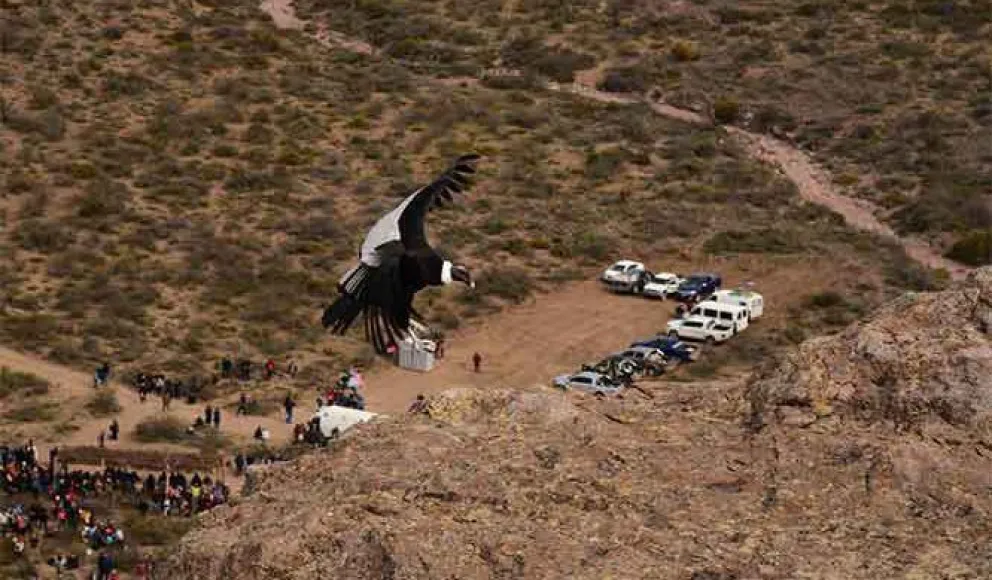 Foto: noticiasveintitres.com. 