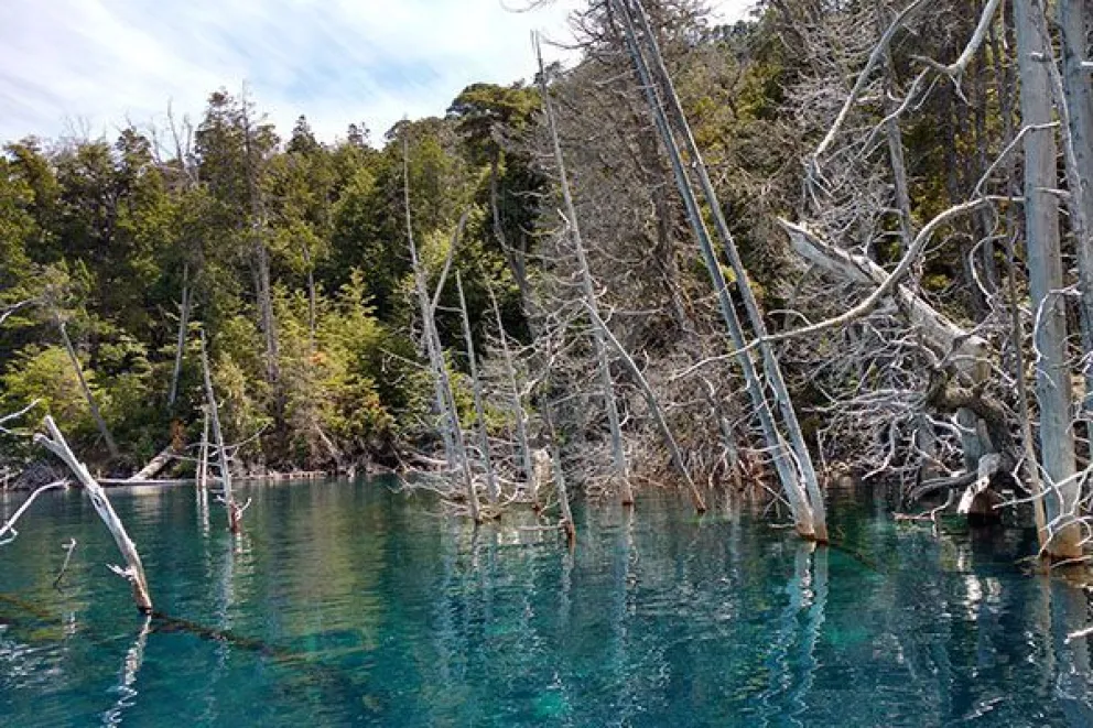  Foto: dondereciclo.org.ar. 