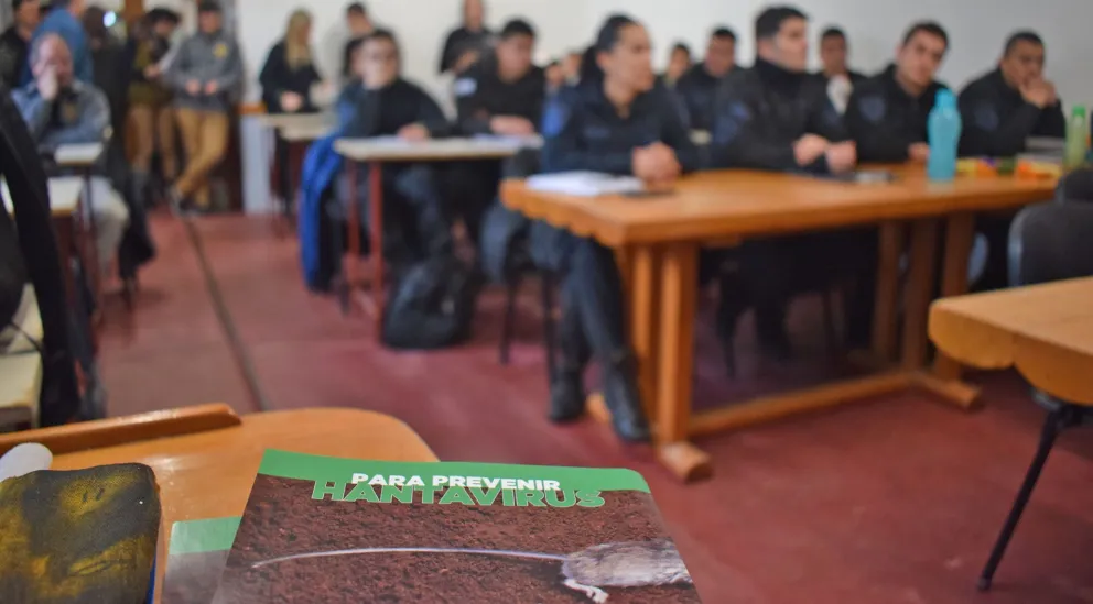 Buscan fortalecer el trabajo por el incremento de roedores y su posible desplazamiento hacia las ciudades