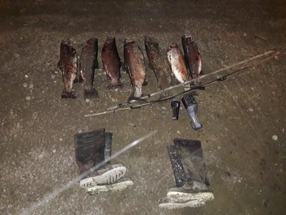 Fotos: gentileza Policía de Río Negro. 