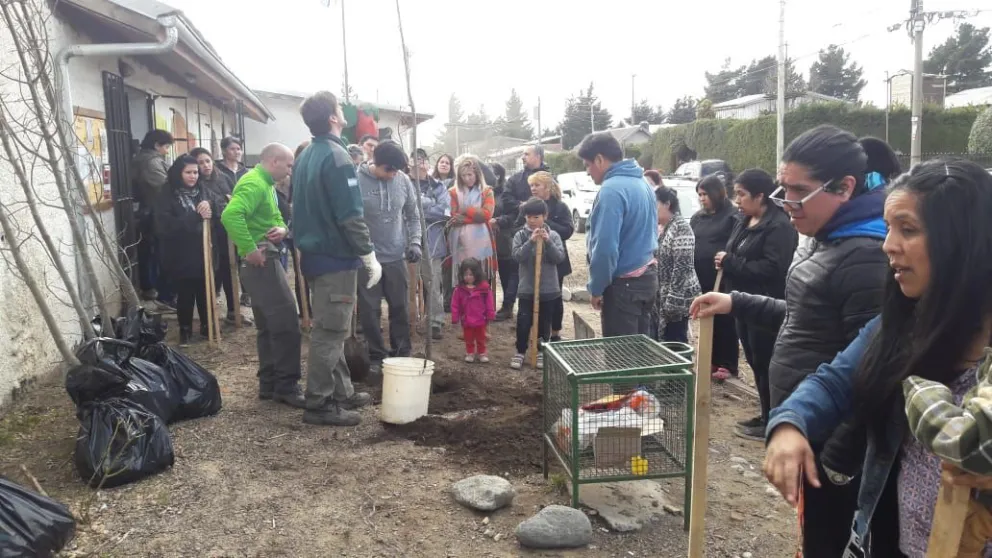 Reforestación en El Frutillar: plantaron más de 90 árboles