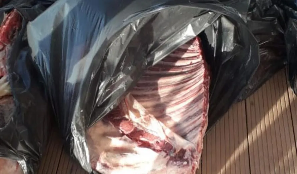Senasa frenó el ingreso de 600 kilos de carne con hueso a la Patagonia