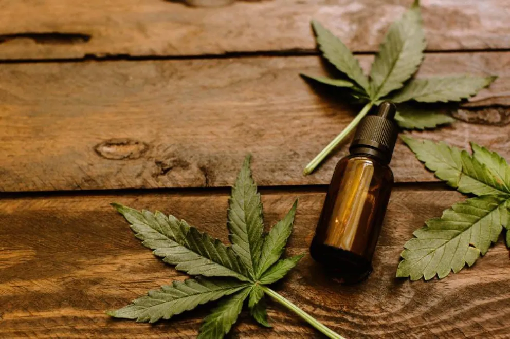 Una obra social deberá proveer aceite de cannabis a paciente con epilepsia
