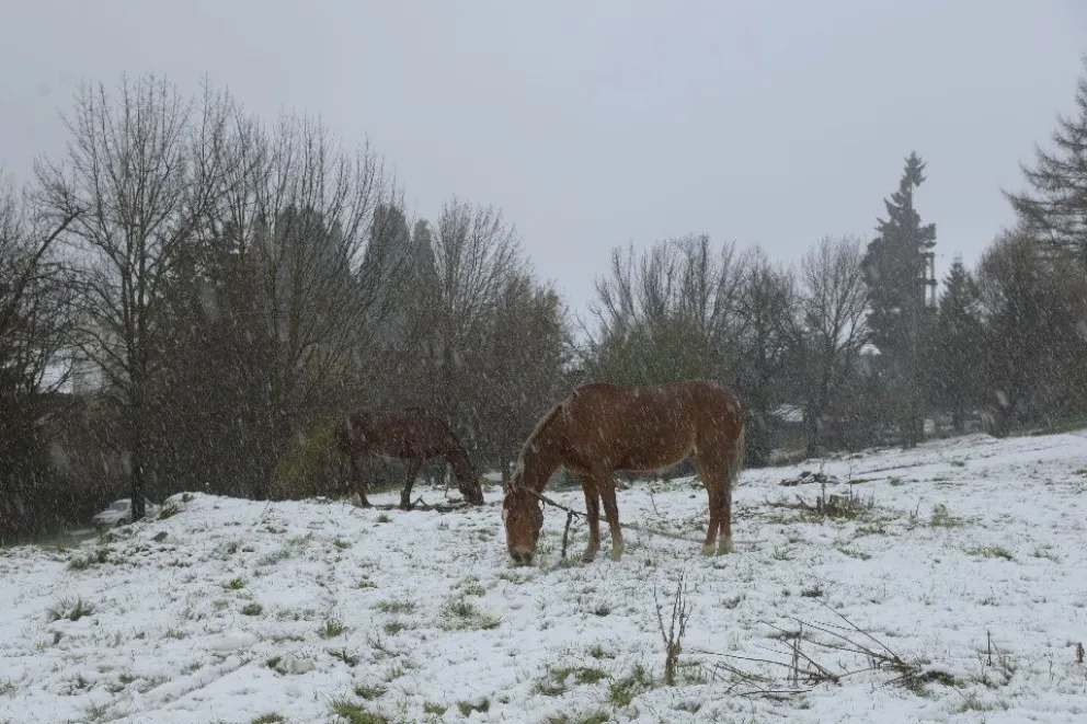 Septiembre se despidió con una intensa nevada