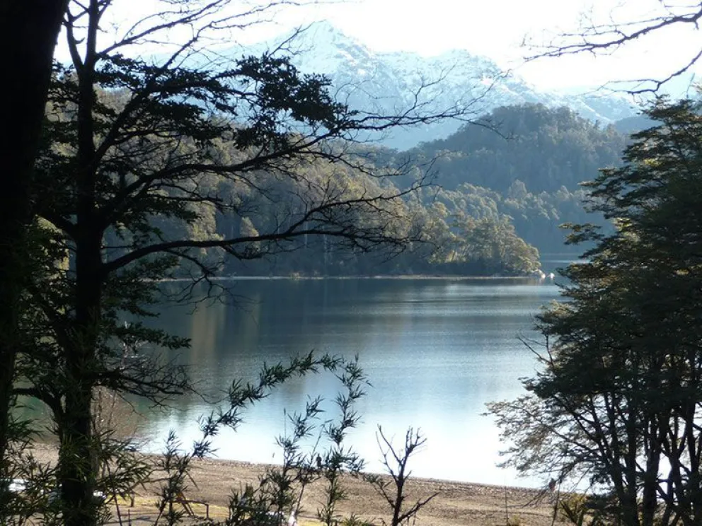 Video: encontraron roedores muertos en el lago Espejo