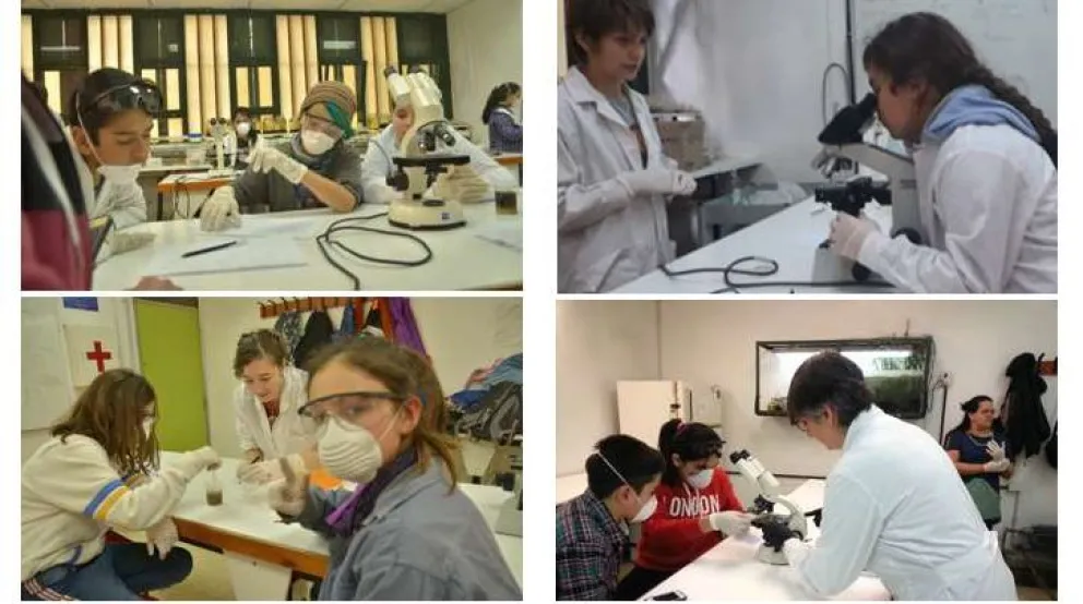 La escuela de Villa Los Coihues convirtió una problemática en un proyecto de ciencias