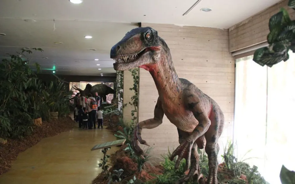 Llega “La noche de los museos” a Bariloche