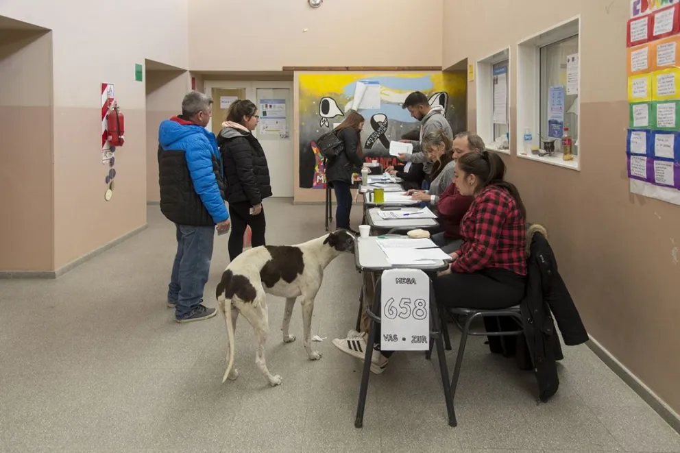 A las 15 votó el 56 % del padrón