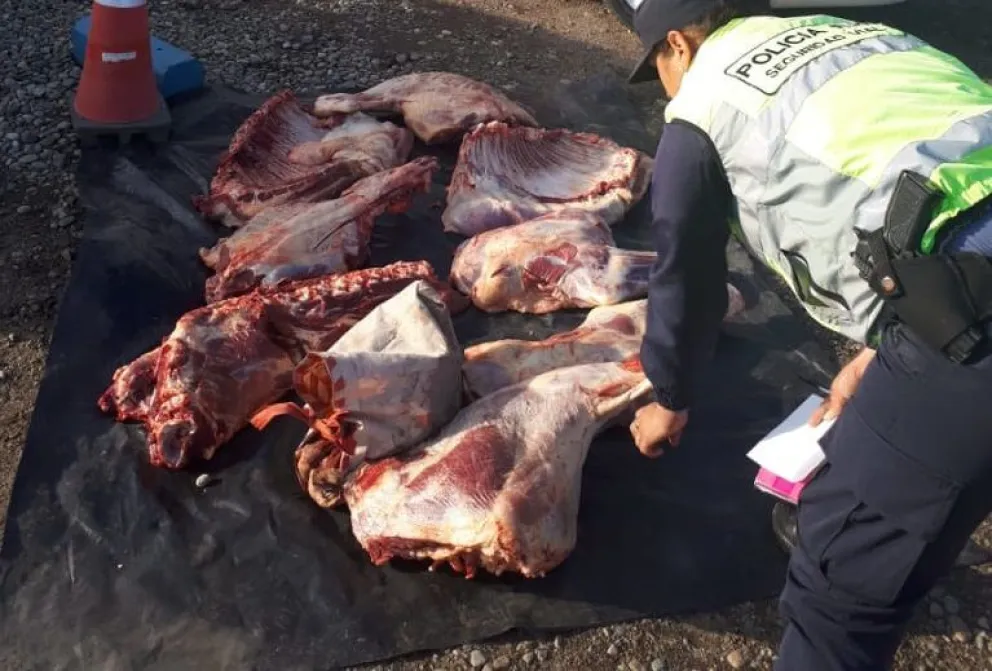 Secuestran 120 kilos de carne vacuna transportada de manera irregular