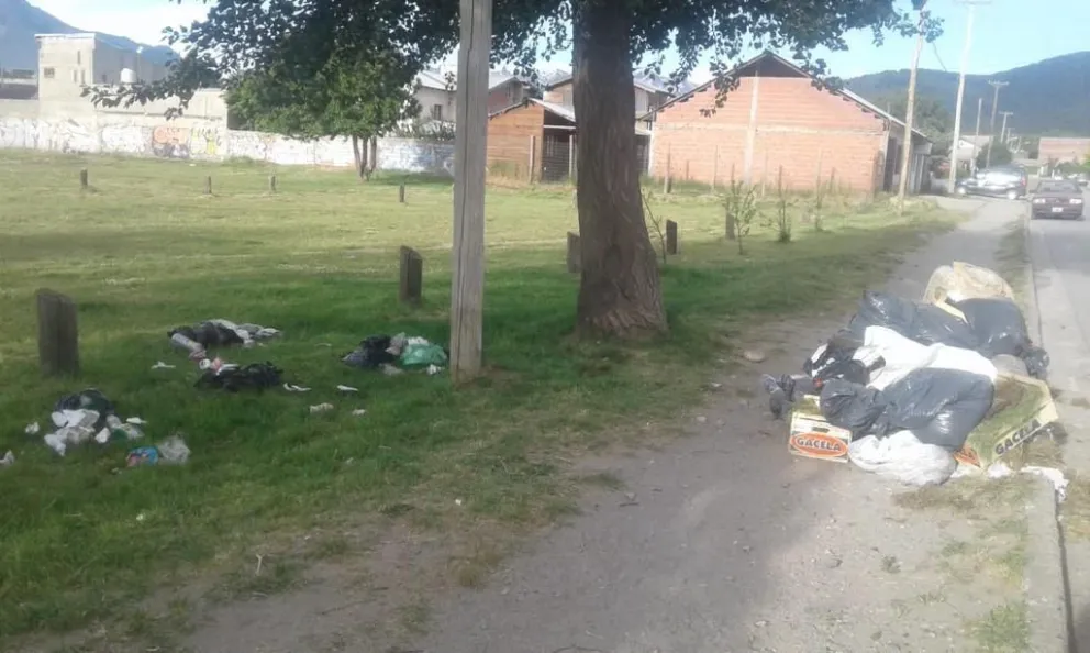 Notifoto: Cansados de sus propios vecinos que tiran la basura en la plaza