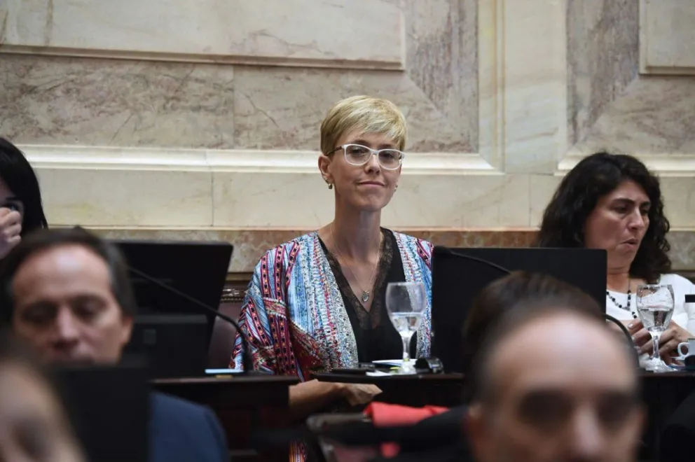 García Larraburu destacó la importancia de la Ley de solidaridad social